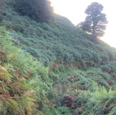 Crag End Cottage, Rogerscale, Nr Cockermouth Lorton